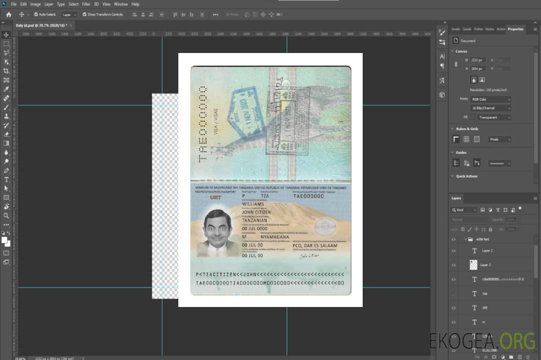 Passeport tanzanien nouveau 2019-présent template Passeport tanzanien nouveau 2019-présent template